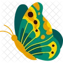 Schmetterling Insekt Flugel Symbol