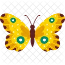 Schmetterling Insekt Flugel Symbol