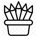  Symbol