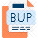 Bup file  Symbol