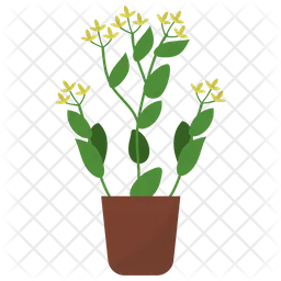 Bupleurum Potted Plant  Icon