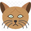 Burma Katze Goldene Augen Glatt Symbol
