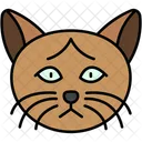 Burma Katze Goldene Augen Glatt Symbol