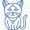 Burma Katze Goldene Augen Glatt Symbol