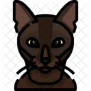 Burmese Cat Cat Face Icon