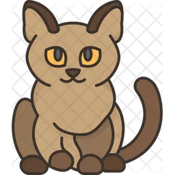 Burmese Cat  Icon