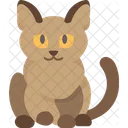 Burmese Cat  Icon