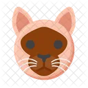 Burmese Cat Pet Cat Cat Icon