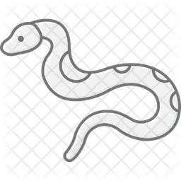Burmese python  Icon