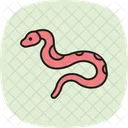 Burmese Python Burmesepython Reptile Icon