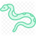 Burmesische Python Symbol