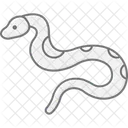 Tigerpython Tigerpython Reptil Symbol
