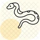 Tigerpython Tigerpython Reptil Symbol