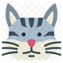 Burmilla Cat  Icon
