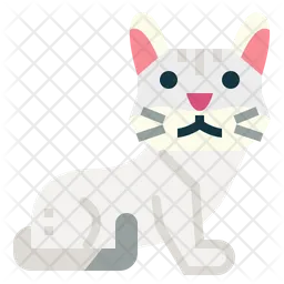 Burmilla Cat  Icon