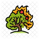 Burning Bush Wildfire Icon