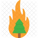 Fire Forest Wildfire Icon