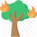 Burning Tree Tree Fire Forest Fire Icon