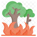 Burning Tree Icon
