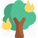 Burnt tree  Icon