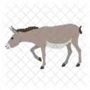 Burro  Icono