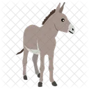 Burro  Icono