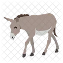 Burro  Icono