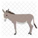 Burro  Icono