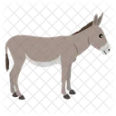 Burro  Icono