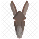 Burro  Icono