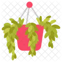 Burros tail  Icon