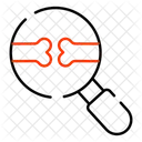 Buscar hueso  Icon