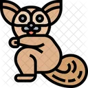 Bushbaby  Symbol