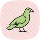 Buse  Icône