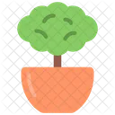 부시 식물  아이콘