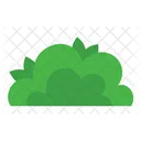 Bush  Icon
