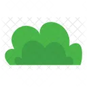 Bush  Icon