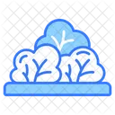 Bushes  Icon