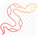 Bushmaster Tourist Jungle Icon