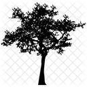 Bushy Tree  Icon