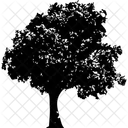Bushy Tree  Icon