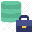 Business Database  Icon