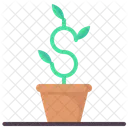 Business Grow Business Grow Icon
