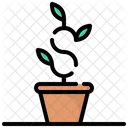 Business grow  Icon