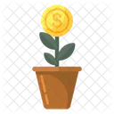 Money Plant Investment Business Growth Icon