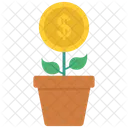 Business Growth  Icon