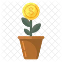 Business Growth  Icon