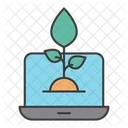 Business Growth  Icon
