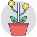 Business Growth  Icon