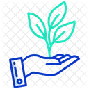 Business Business Growth Growth Icon
